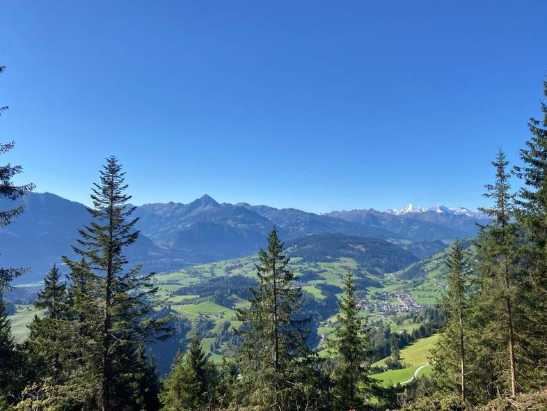 Ausblick auf das Wiesbachhorn