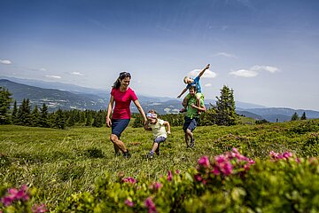Familie bei einer Wanderung im Frühling, die Almrosen blühen