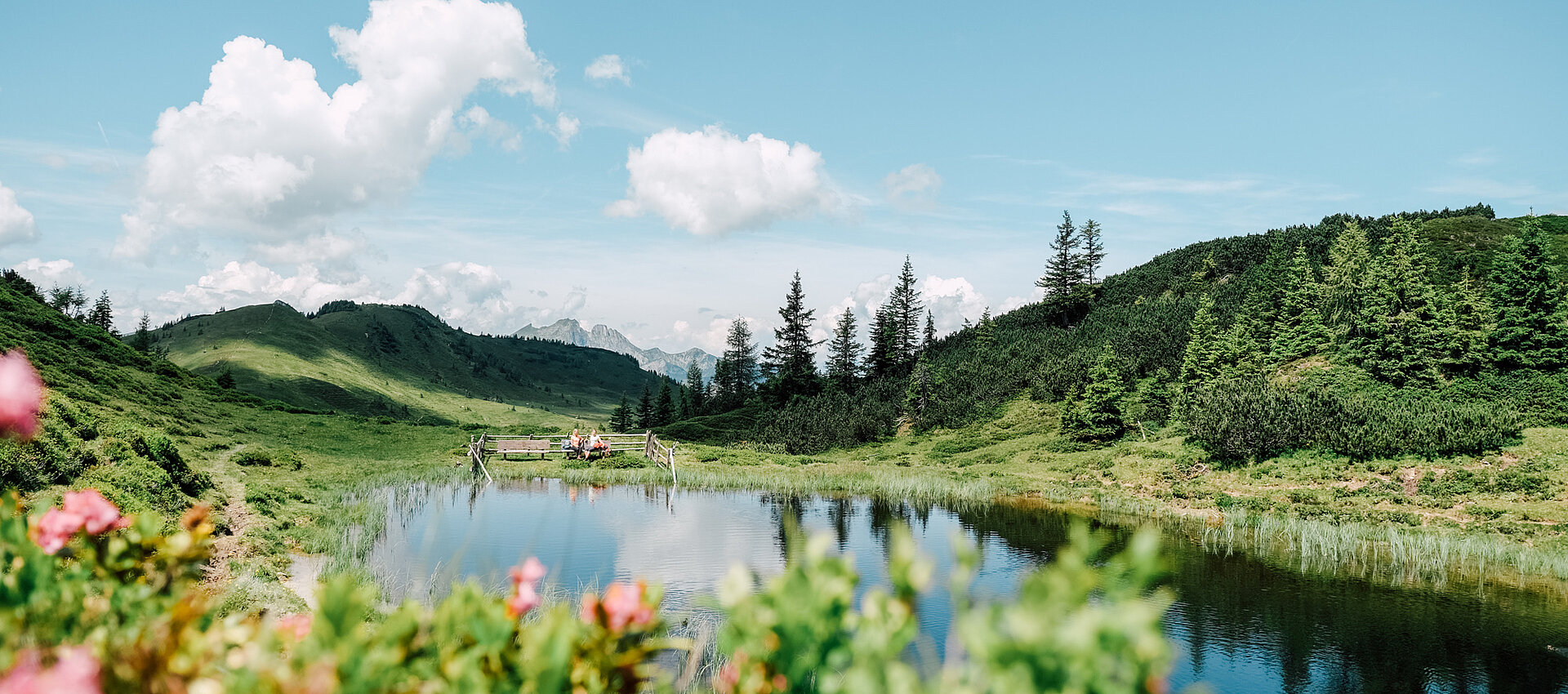 Ein Bergsee bei herrlichem Sommerwetter, im Vordergrund sind bunte Blumen zu sehen