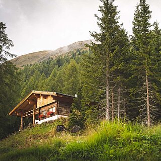 rustikale Berghütte umgeben von dichten Tannen am Berghang
