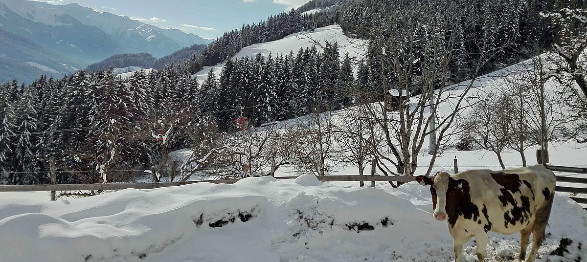 Winterlandschaft Hollersbach
