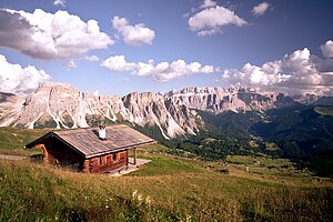 Small, charming wooden cabin surrounded by lush green alpine meadows.