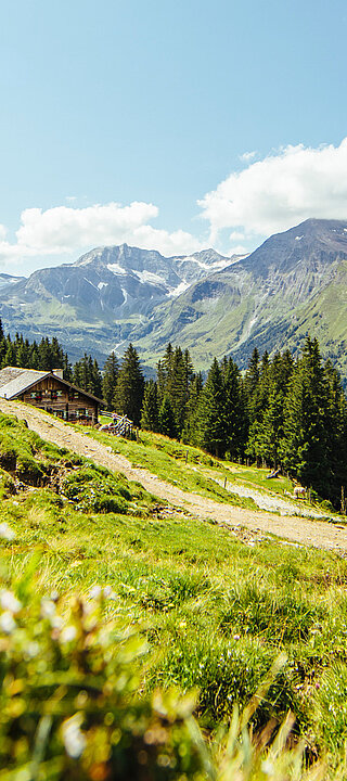 Eine Hütte in den Bergen bei herrlichem Sommerwetter