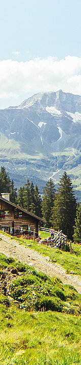 Mitterastenalm in de bergen in Almliesl Hüttenurlaub in Oostenrijk