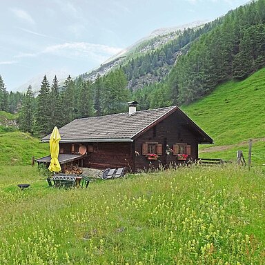 Durch raschelndes Laub spazieren, gemeinsam Gipfel stürmen und danach müde und glücklich die Pfoten hochlegen. Dein liebster Wanderbuddy darf im Herbsturlaub auf keinen Fall fehlen!